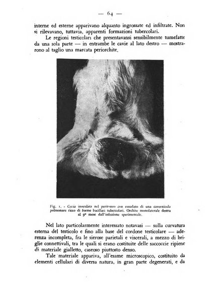 Rivista militare di medicina veterinaria Periodico bimestrale