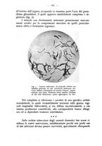 giornale/CFI0364772/1943/unico/00000076