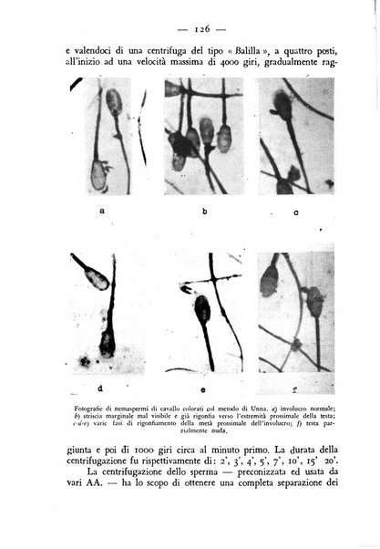 Rivista militare di medicina veterinaria Periodico bimestrale