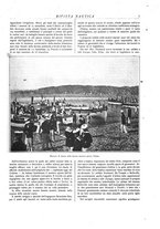 giornale/CFI0364790/1895/unico/00000019