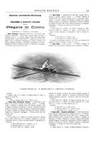 giornale/CFI0364790/1905/unico/00000231