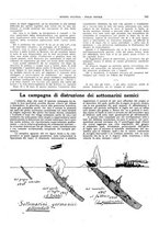 giornale/CFI0364790/1918/unico/00000191
