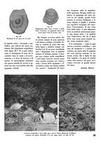 giornale/CFI0364790/1941/unico/00000081