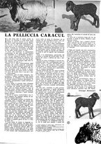giornale/CFI0365314/1941/unico/00000239