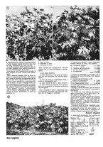 giornale/CFI0365314/1941/unico/00000274