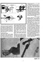 giornale/CFI0365314/1942/v.1/00000185