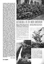 giornale/CFI0365314/1942/v.2/00000264