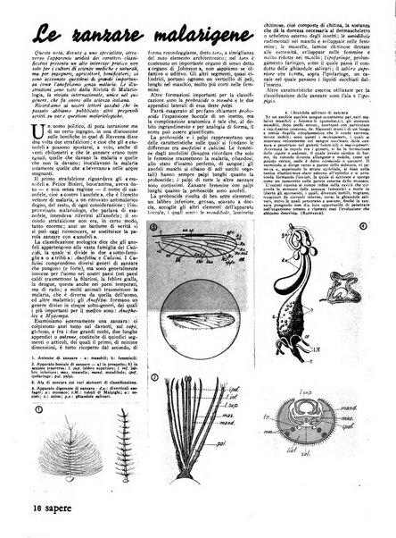 Sapere quindicinale di divulgazione di scienza, tecnica e arte applicata