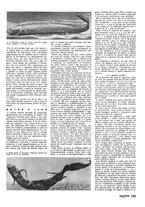 giornale/CFI0365314/1944/unico/00000211