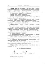 giornale/CFI0365647/1933-1934/unico/00000076