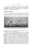 giornale/CFI0365647/1933-1934/unico/00000085