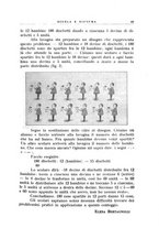 giornale/CFI0365647/1933-1934/unico/00000091