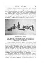 giornale/CFI0365647/1933-1934/unico/00000125