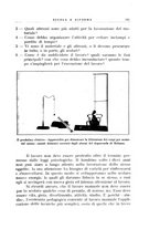 giornale/CFI0365647/1933-1934/unico/00000205