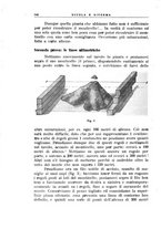 giornale/CFI0365647/1933-1934/unico/00000384