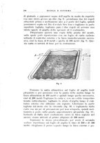 giornale/CFI0365647/1933-1934/unico/00000388