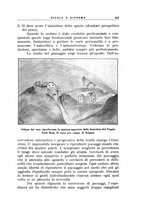 giornale/CFI0365647/1933-1934/unico/00000481