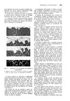 giornale/CFI0367258/1941/unico/00000385