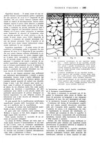 giornale/CFI0367258/1941/unico/00000389