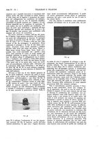 giornale/CFI0367286/1923/unico/00000019