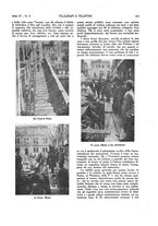 giornale/CFI0367286/1923/unico/00000331