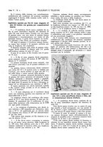 giornale/CFI0367286/1924/unico/00000043