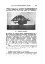 giornale/CFI0368264/1929/unico/00000247