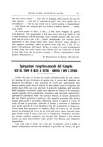 giornale/CFI0368655/1912/unico/00000119