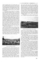 giornale/CFI0369068/1917/unico/00000071