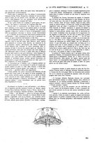 giornale/CFI0369068/1919/unico/00000289