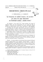 giornale/CFI0369887/1928/unico/00000007