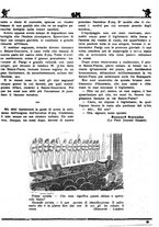 giornale/CFI0371978/1935/unico/00000233