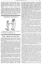 giornale/CFI0374941/1899/unico/00000243