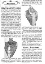giornale/CFI0374941/1899/unico/00000479