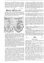 giornale/CFI0374941/1899/unico/00000624
