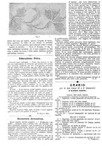 giornale/CFI0374941/1899/unico/00000918
