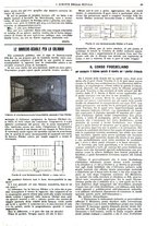 giornale/CFI0374941/1905/unico/00000051