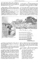 giornale/CFI0374941/1906/unico/00000525
