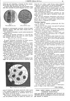 giornale/CFI0374941/1911-1912/unico/00001375