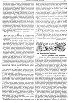 giornale/CFI0374941/1915-1916/unico/00000235