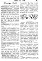 giornale/CFI0374941/1915-1916/unico/00000251