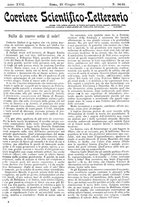 giornale/CFI0374941/1915-1916/unico/00001161