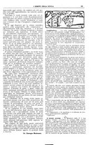 giornale/CFI0374941/1915/unico/00000343