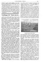 giornale/CFI0374941/1916/unico/00000195