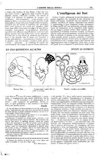 I diritti della scuola