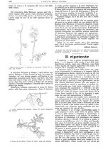 giornale/CFI0374941/1928-1929/unico/00000550