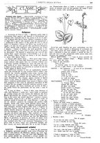 giornale/CFI0374941/1929-1930/unico/00001049