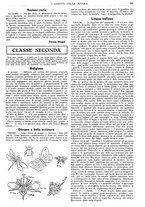 giornale/CFI0374941/1931-1932/unico/00001005