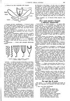 giornale/CFI0374941/1931-1932/unico/00001045