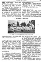 giornale/CFI0374941/1933-1934/unico/00000533